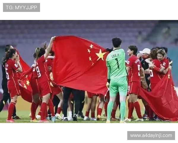 聚焦新浪体育世界杯热点赛事深度解析与精彩瞬间回顾四年激情荣耀征程